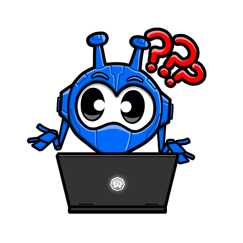 What are DNS Leaks?