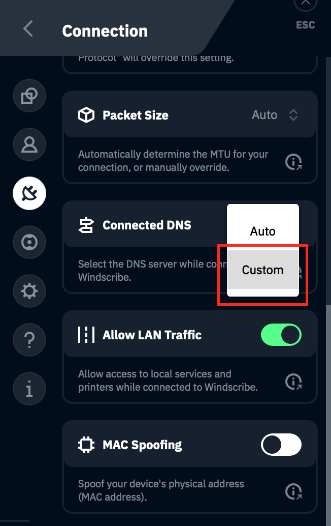 Custom DNS selection