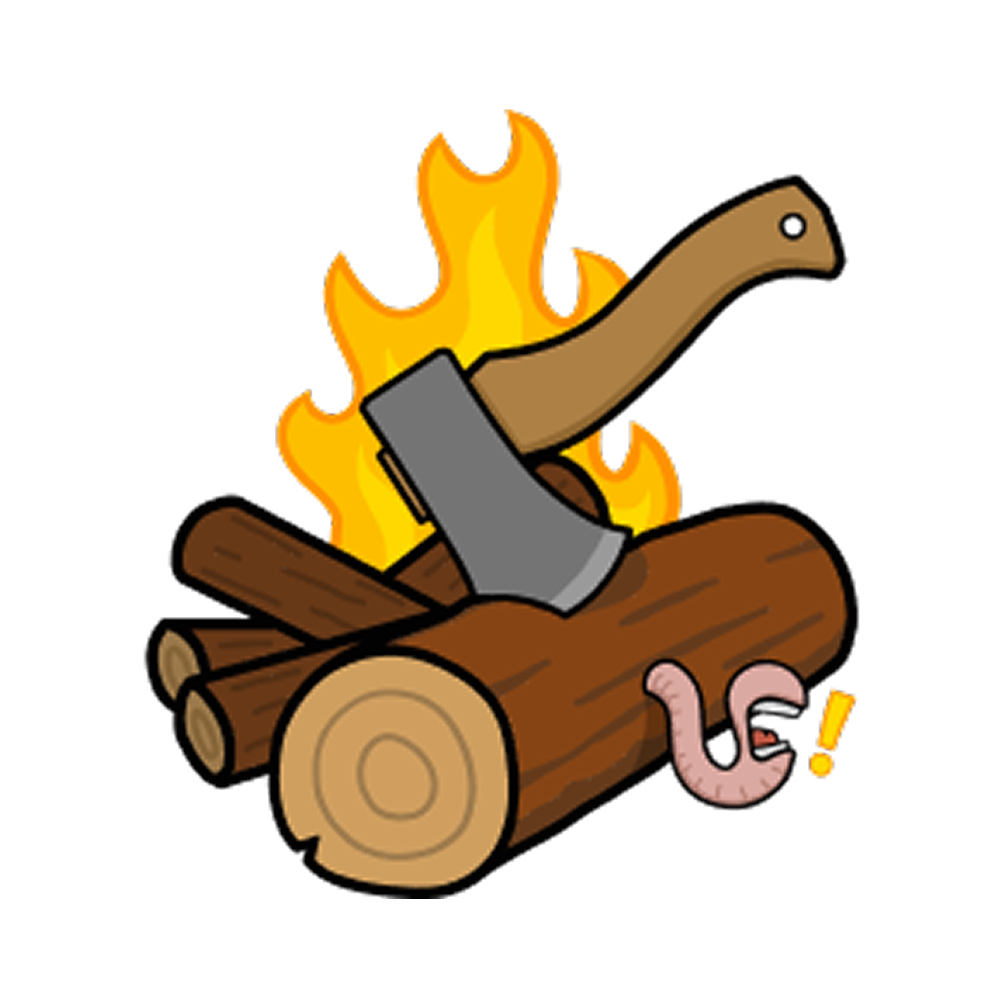 Strict No-Logs Policy