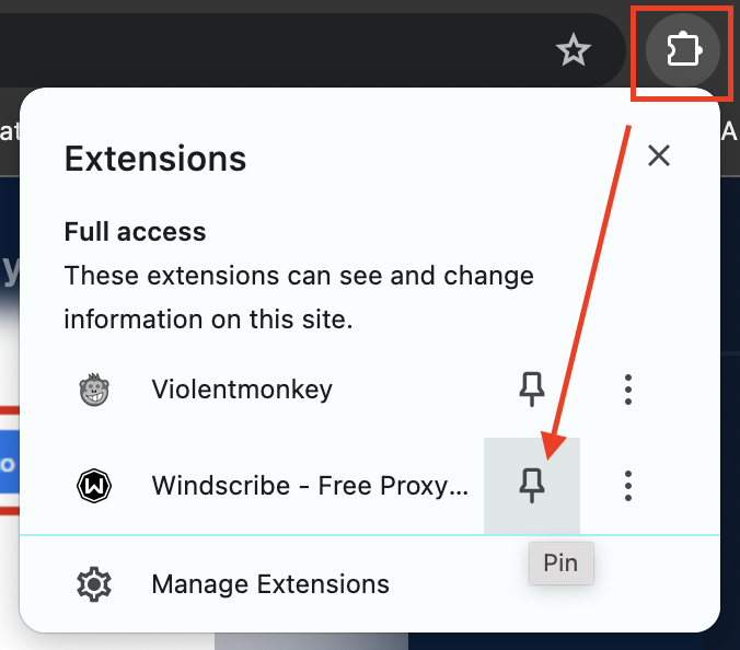 How to pin the extension to your browser
