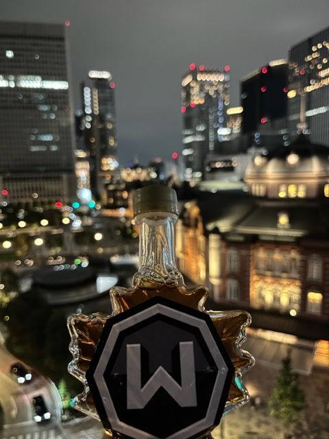 View from Tokyo Station with Windscribe's Maple Syrup in view