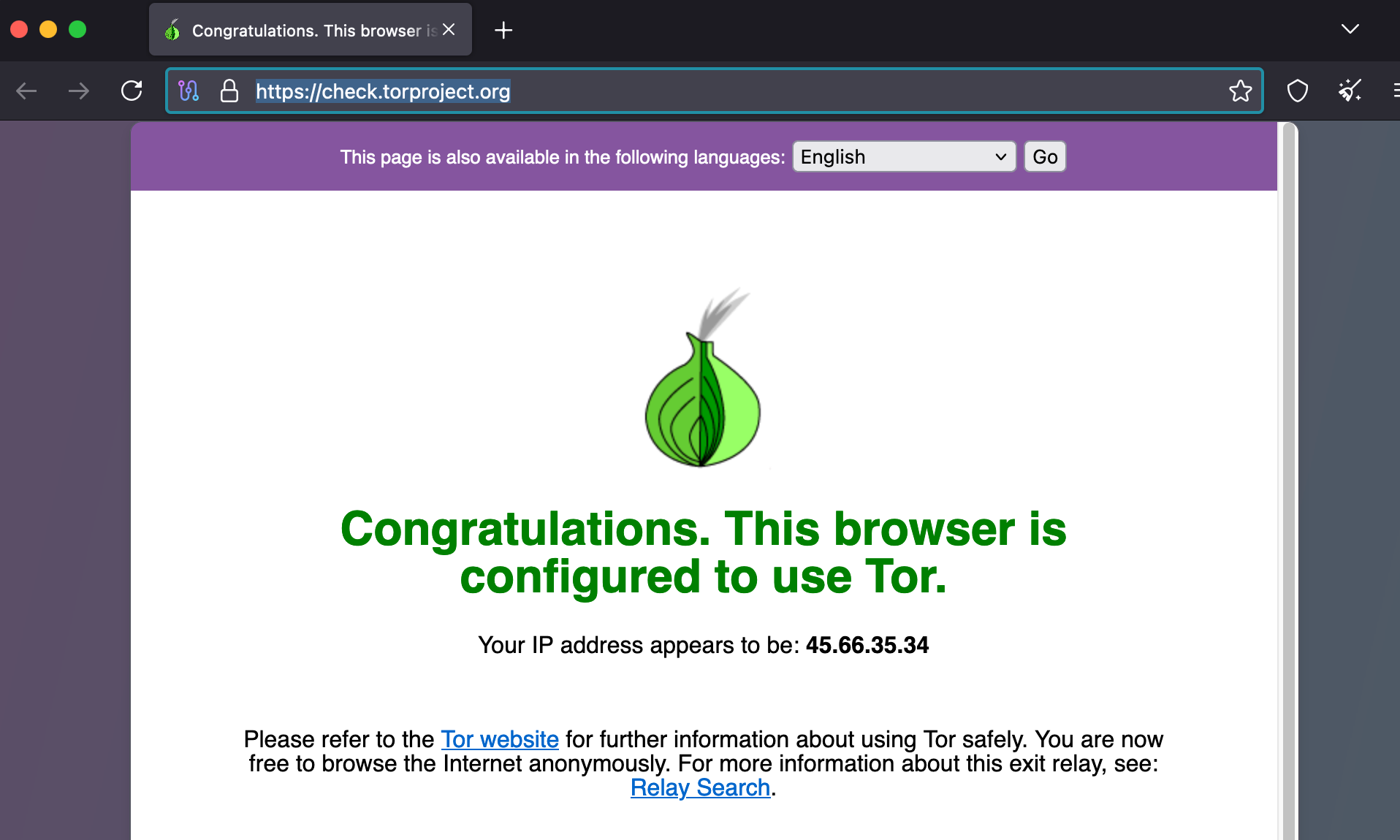 Screenshot showing Tor browser is configured