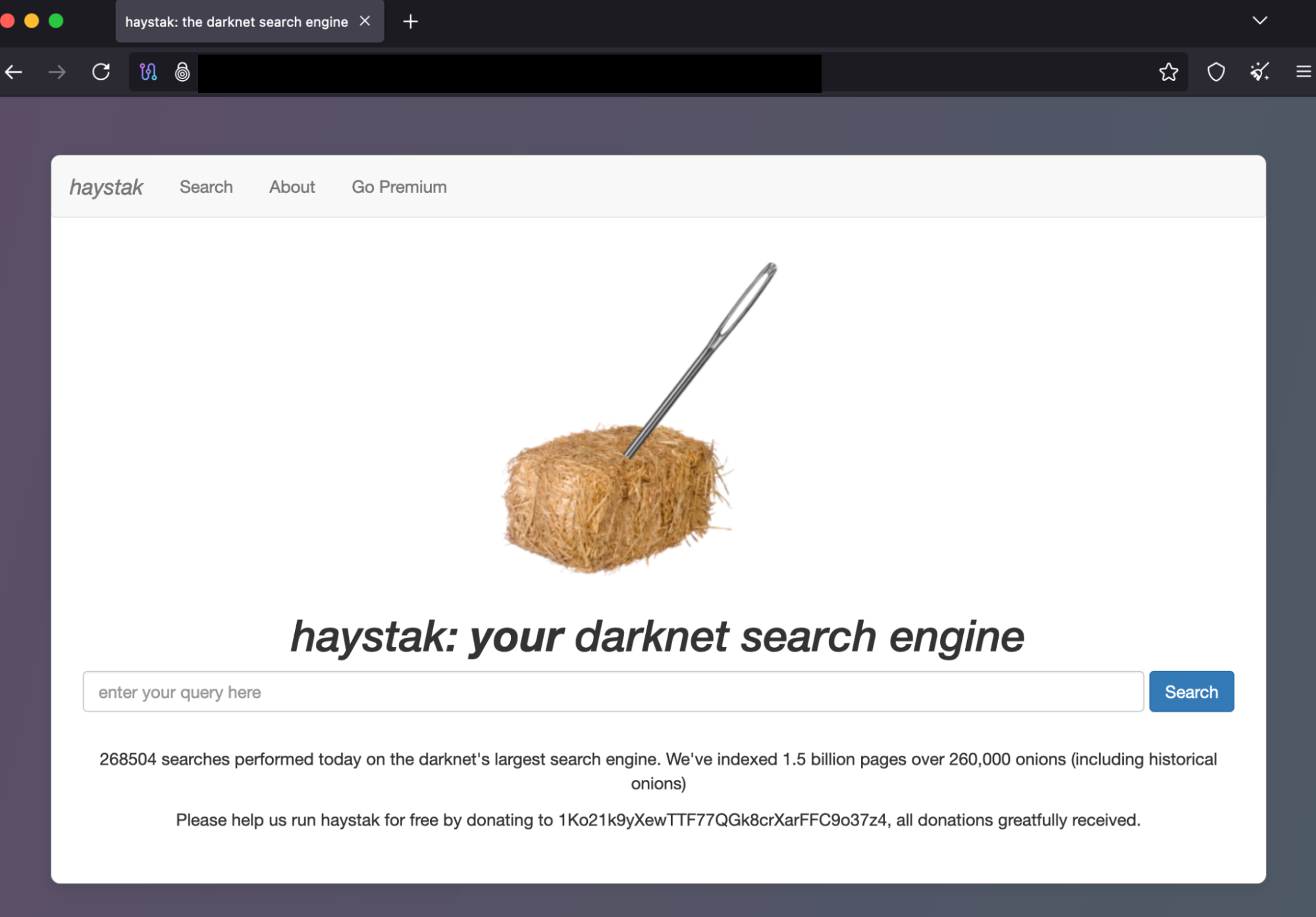  Screenshot of Haystak on Tor Browser