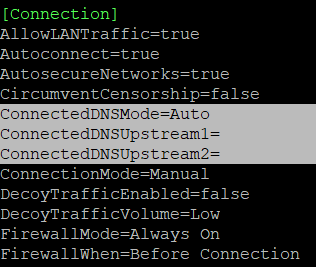 Screenshot of conf file showing where to edit DNS settings