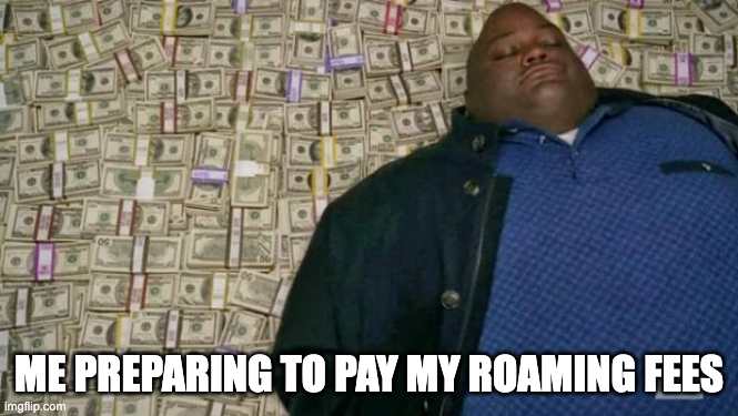 man lying in money pile with caption "me preparing to pay my roaming fees"