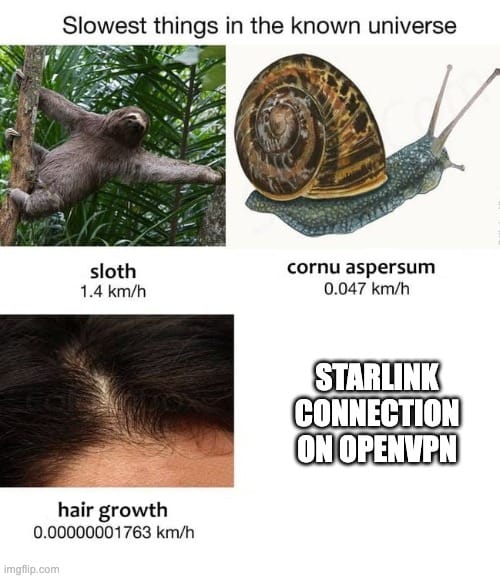 starlink vpn
