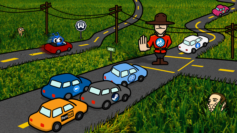 The Digital Divide: Traffic Shaping in Rural Communities