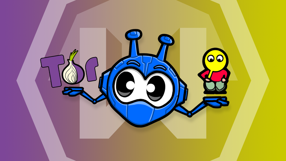 I2P vs Tor: Key Differences and Similarities Explained