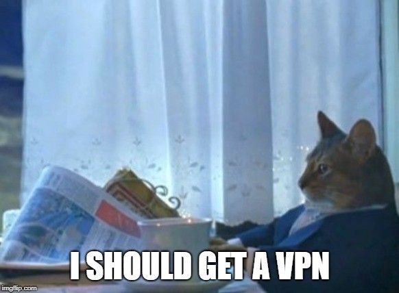 Best VPN for Your Cat 2019