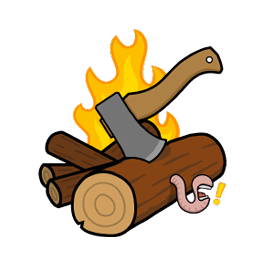 Strict No-Logs Policy
