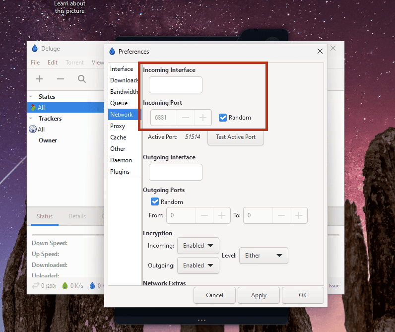 Deluge Network preferences with the Incoming Interface field highlighted