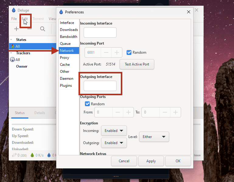 Deluge Network preferences with the Outgoing Interface field highlighted
